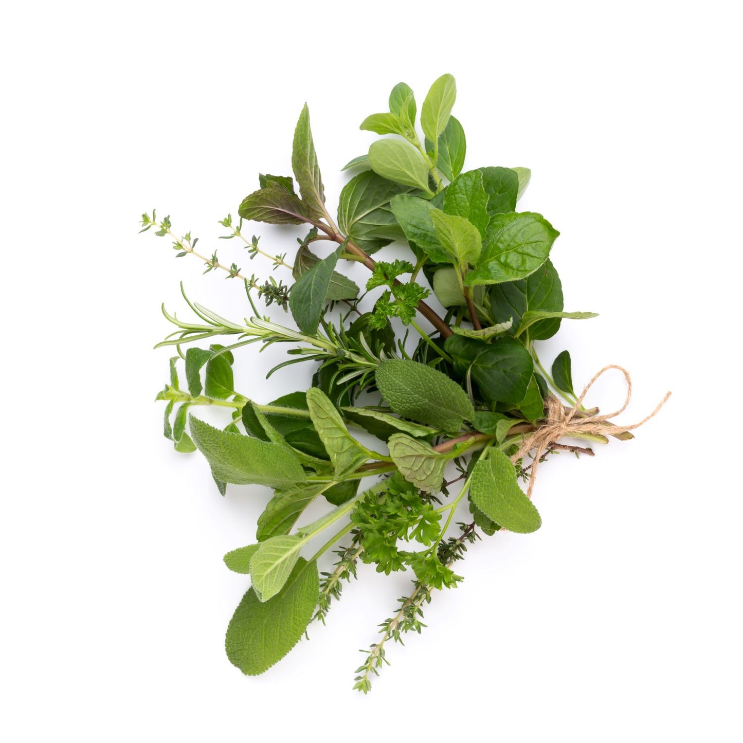 Restore and Hydrate Herbal Conditioner