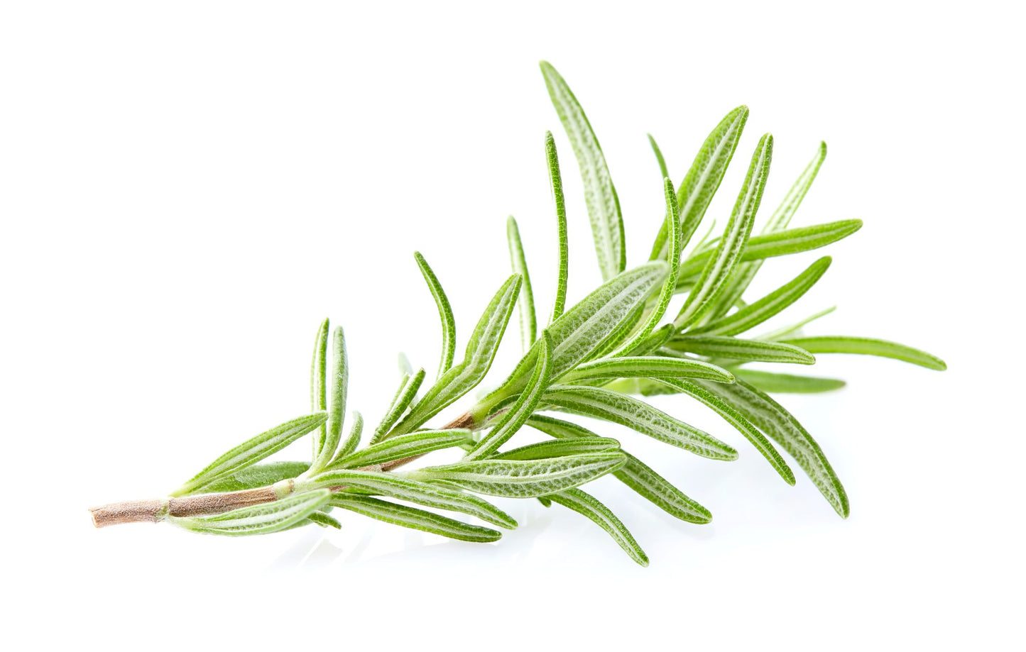 Clarifying Kaolin Face Mask