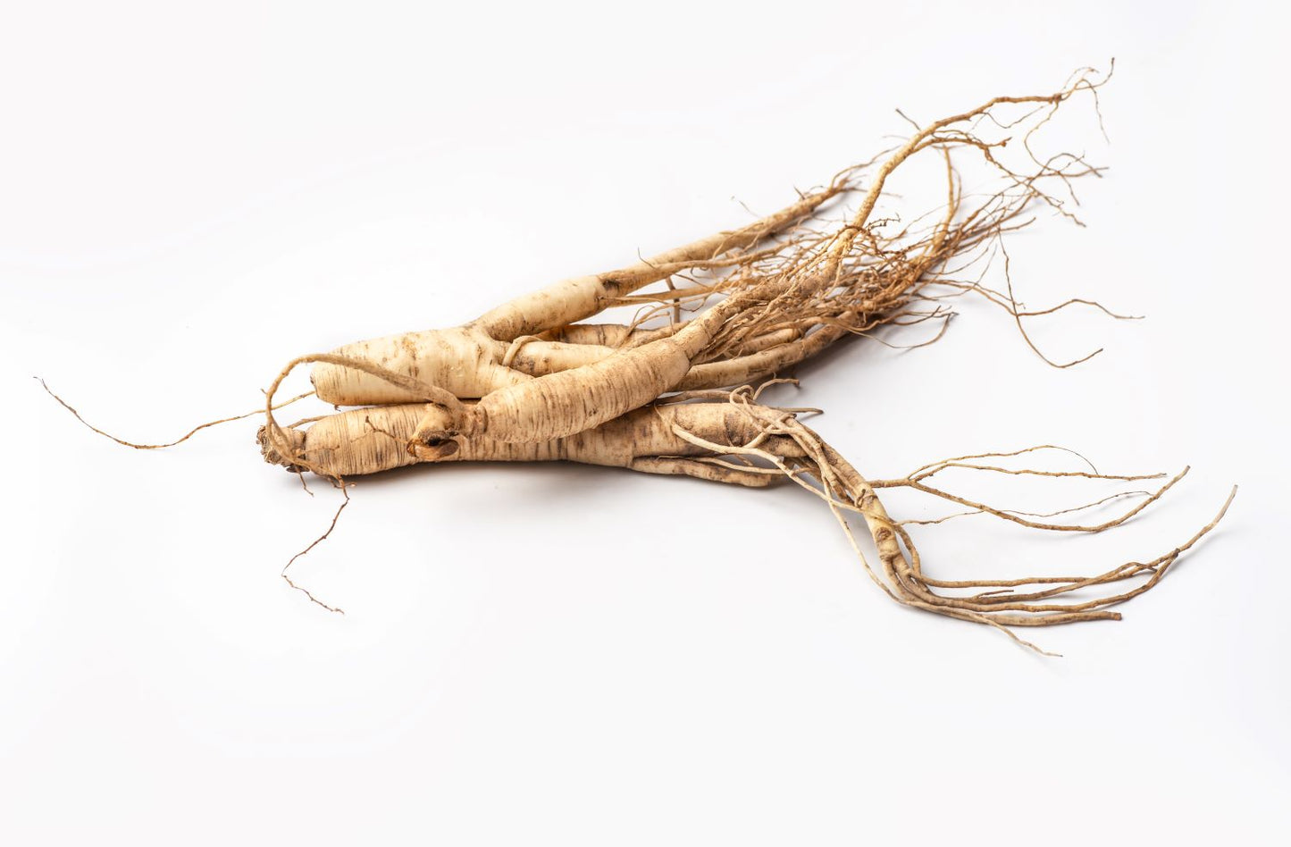 Restore and Hydrate Herbal Conditioner