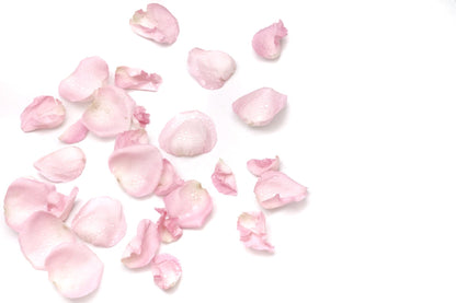 Multi-Molecular Hyaluronic Serum